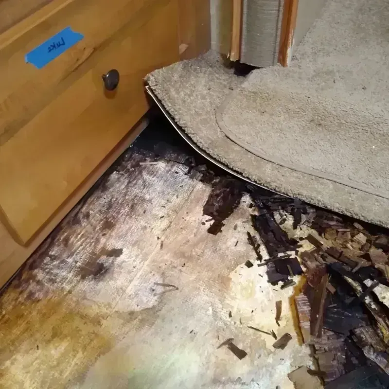 Best Wood Floor Water Damage Service in El Dorado Springs, MO